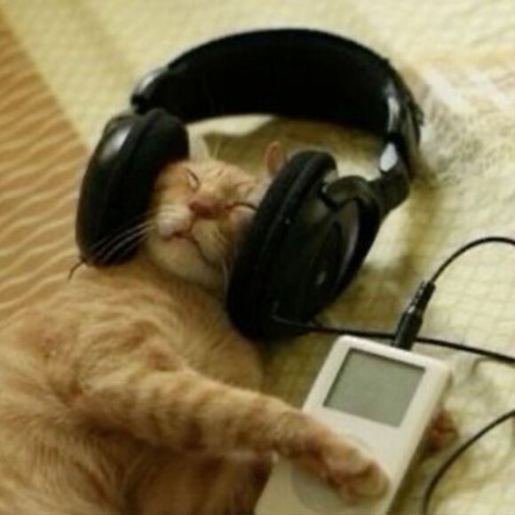 Meet your Posher, C. Nichole - Picture 1 of 1